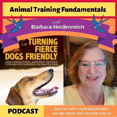 29 - CAT with Kellie Snider 29 - CAT with Kellie Snider