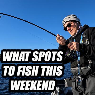 Top Weekend Fishing Locations Revealed!