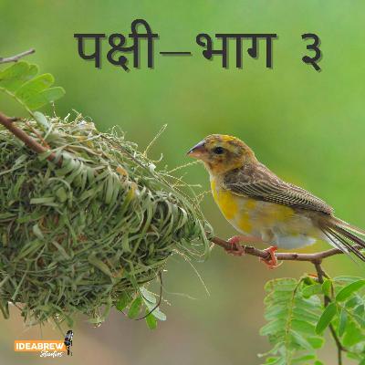 पक्षी- भाग  ३