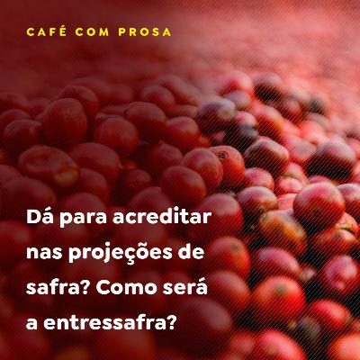 Café: dá para acreditar nas projeções de safra? Como será a entressafra?