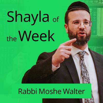 Shayla of The Week #191- "The Prohibition to Return to Egypt"- Is It Permitted to Pass Through, Tour, or Travel There? The Source, The Rule, The History and The Exceptions