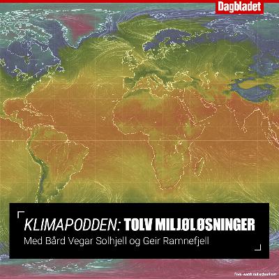 #3: -  Trodde ikke at en halv grad betydde så mye