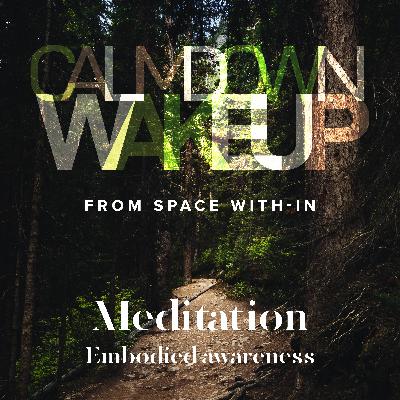 Calm Down, Wake Up (episode 12) Meditation: Embodied Awareness