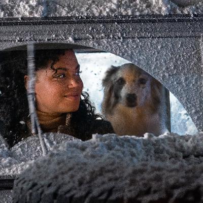 The Best Hollywood Movies Are Freely Streaming In HD - Movieninja