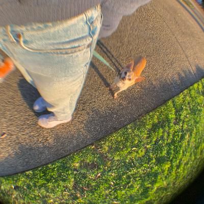 Talking about my day, getting sidetracked a lot in the process Talking about my day, getting sidetracked a lot in the process