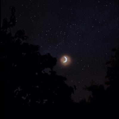 Hexensabbatspecial #2: Samhain. Eine geführte Meditation. Hexensabbatspecial #2: Samhain. Eine geführte Meditation.