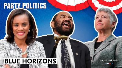 Blue Horizons: Charting the Path Forward for Texas Democrats