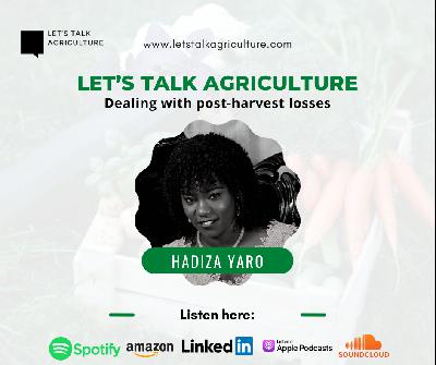 Dealing with post-harvest losses with Hadiza Yaro