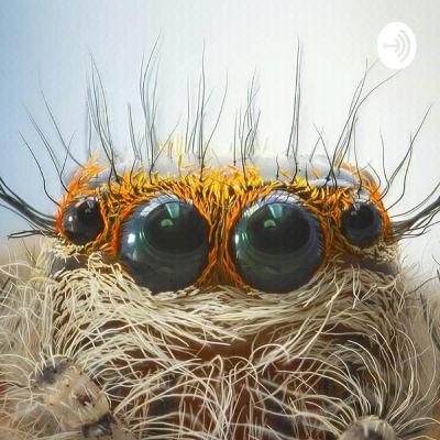 Whoever can make it!