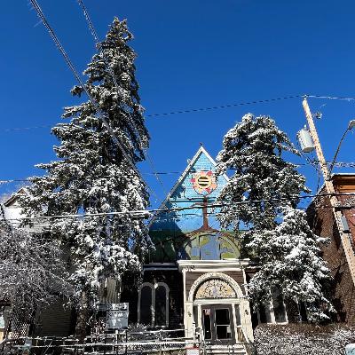 Farewell to Grandmother Spruce Farewell to Grandmother Spruce