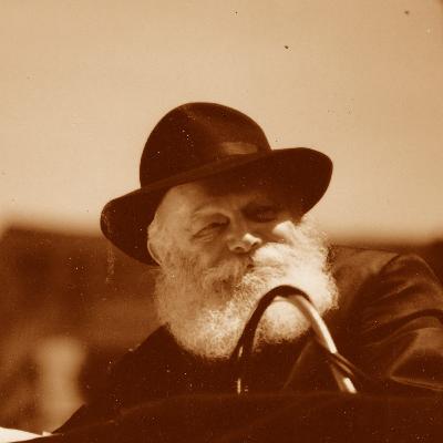 משיגורים לשיגרה