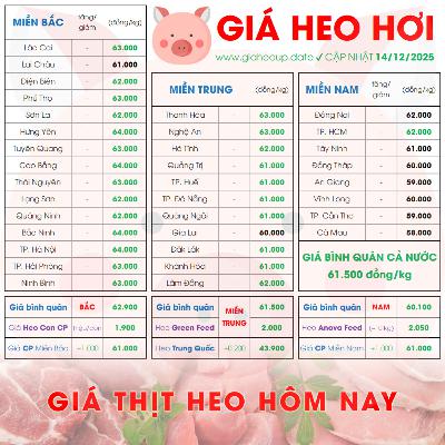 GIÁ LỢN HƠI 14/12/2025 ✅ GIÁ THỊT HEO HÔM NAY & TIN TỨC CHĂN NUÔI #GIAHEOHOI #ASF #DICHTAHEOCHAUPHI