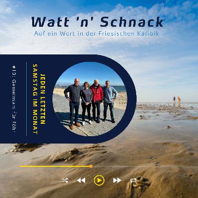 Watt 'n' Schnack #19: Gemeinsam für Föhr