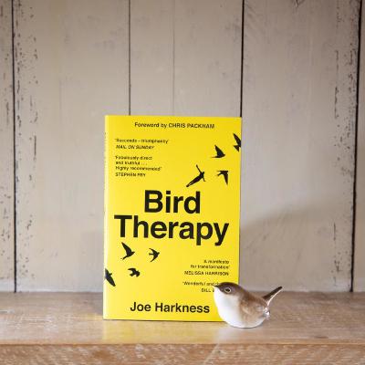 Bird Therapy by Joe Harkness (UK)