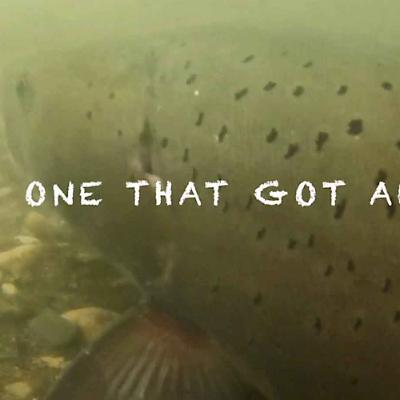 The One That Got Away - Mark 10:18-31