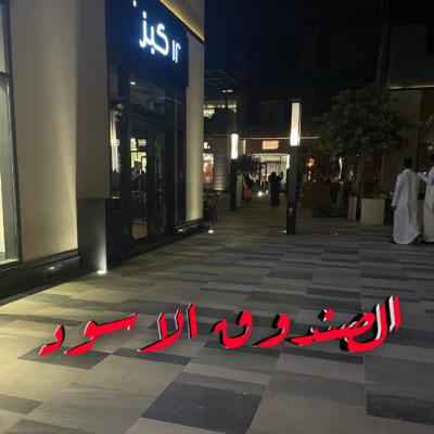 الصندوق الاسود