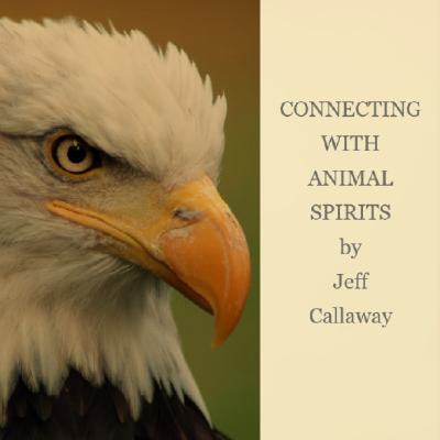 EAGLE SPIRIT GUIDED SHAMANIC JOURNEY