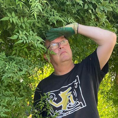 Seeds Mix #4: Joe Muggs' Music to Smell the Jasmine whilst watching for Bats in the Twilight Seeds Mix #4: Joe Muggs' Music to Smell the Jasmine whilst watching for Bats in the Twilight