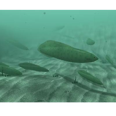 最初の魚が地球に生息したのはいつですか？どのようにして年代特定されますか？