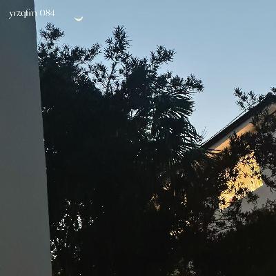 084 当朋友消失在朋友圈