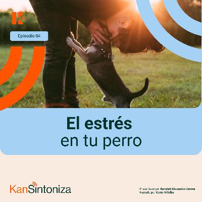 El estrés en tu perro