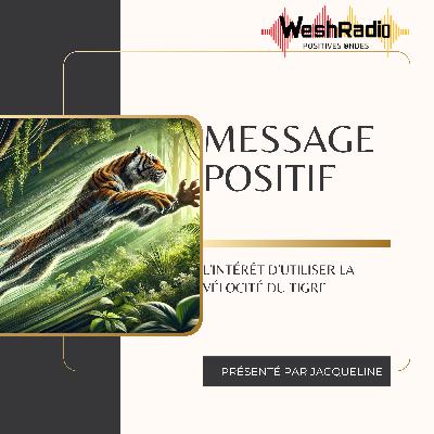 L'intérêt d'utiliser la vélocité du tigre