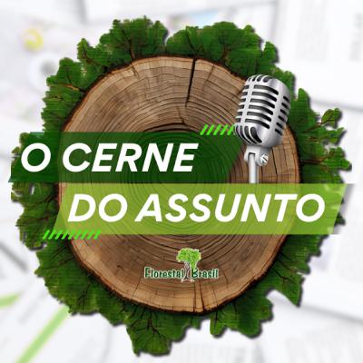 O Cerne do Assunto | 65% do Brasil desconhece a Amazônia; EUDR adiada, setor florestal cresce