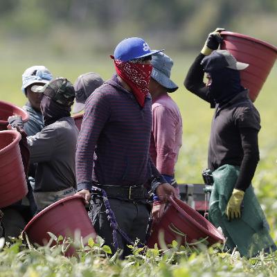 Protecting the People Who Grow Our Food