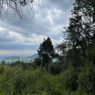 Una vida más normal.