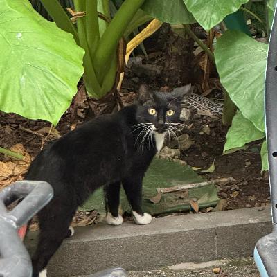 060 先解决问题？还是先解决情绪？