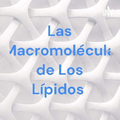 Las macromolécula de los lípidos