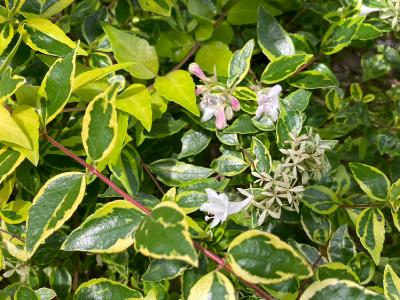 2025.11/7 先まで届くエネルギーで from Radiotalk 2025.11/7 先まで届くエネルギーで from Radiotalk