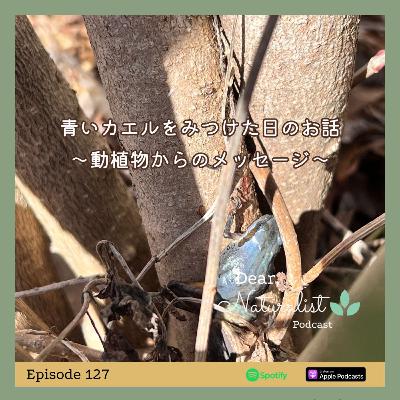 #127. 青いカエルをみつけた日のお話～動植物からのメッセージ