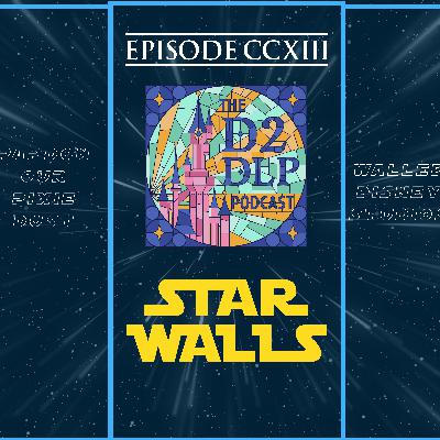 213: Star Walls