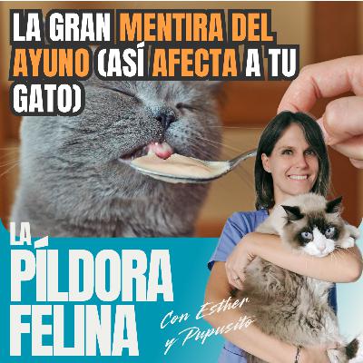628. La gran MENTIRA DEL AYUNO (así AFECTA a tu gato) 628. La gran MENTIRA DEL AYUNO (así AFECTA a tu gato)