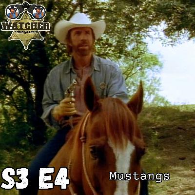 S3 E4 Mustangs