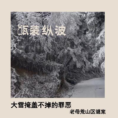 2.大雪掩盖不掉的罪恶：湖北老母荒山区谜案