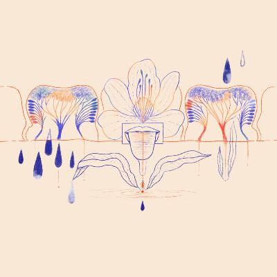 Historia | 'Lengua' por Mariana Matija