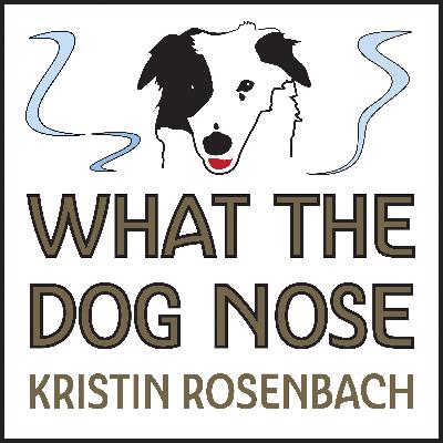 WTDN 6: Truffle Hunting Dogs Don’t Always Dig