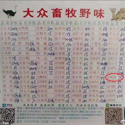 Vegan Talk Coronavirus Daily Update 23/3/2020