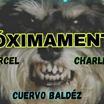 proximamente