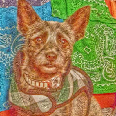 Ep.3: Letter From A Dying Dog