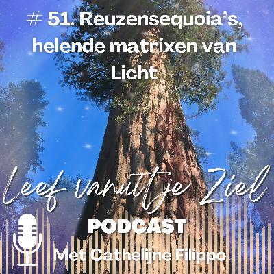 # 51. Sequoia's, helende matrixen van Licht