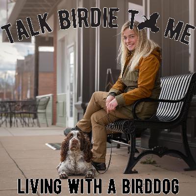 12 | Living With A Bird Dog 12 | Living With A Bird Dog
