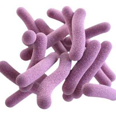 Your Dog's Microbiome: What You Need to Know