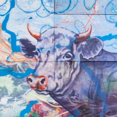 #168 Katrīnas Tračumas zoomāksla "ZEMNIEKI. Zeme. Nieki. Zemgale. Zemieši" #168 Katrīnas Tračumas zoomāksla "ZEMNIEKI. Zeme. Nieki. Zemgale. Zemieši"