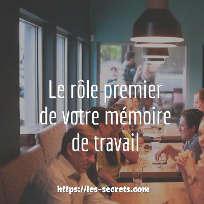 Maîtrisez votre Mémoire de Travail Maîtrisez votre Mémoire de Travail