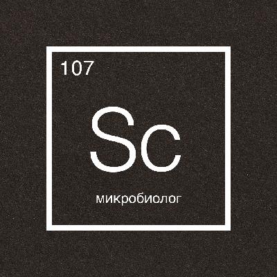 Говорит наука №107 | Микробиолог
