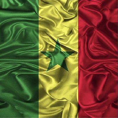 CAN 2024 : Les Lions de la Teranga 🇸🇳 (avec Bassqlfoot)