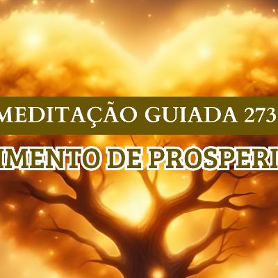 SENTIMENTO DE PROSPERIDADE - MEDITAÇÃO GUIADA 273